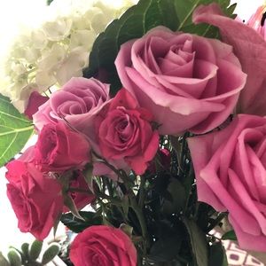 Meet your Posher, Janice